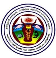 college-image
