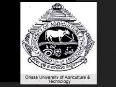 college-image