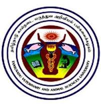 college-image